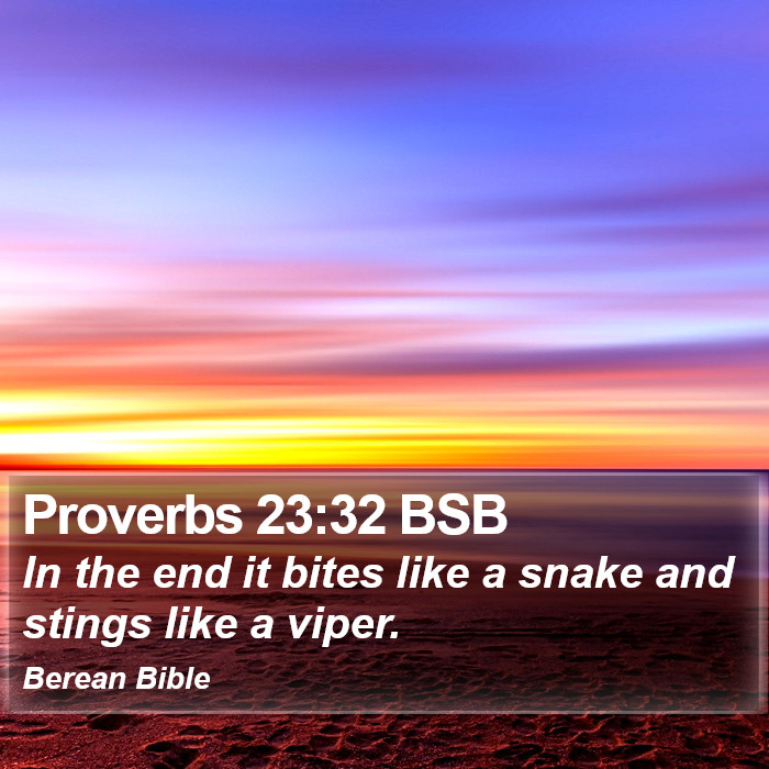 Proverbs 23:32 BSB Bible Study