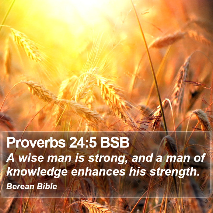 Proverbs 24:5 BSB Bible Study