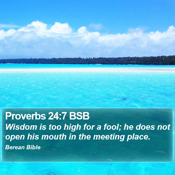 Proverbs 24:7 BSB Bible Study