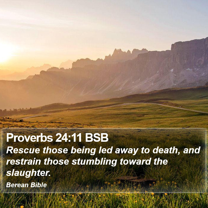 Proverbs 24:11 BSB Bible Study