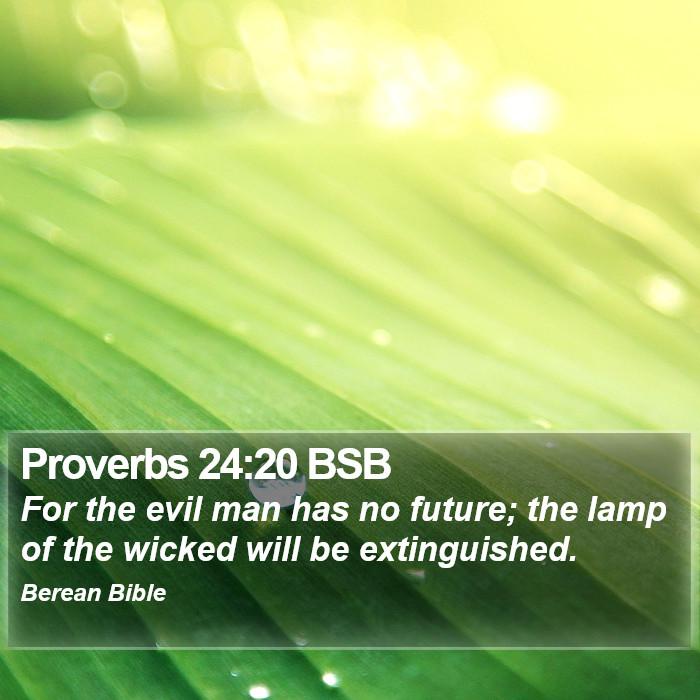 Proverbs 24:20 BSB Bible Study