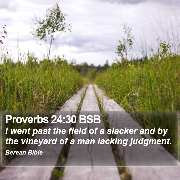 Proverbs 24:30 BSB Bible Study