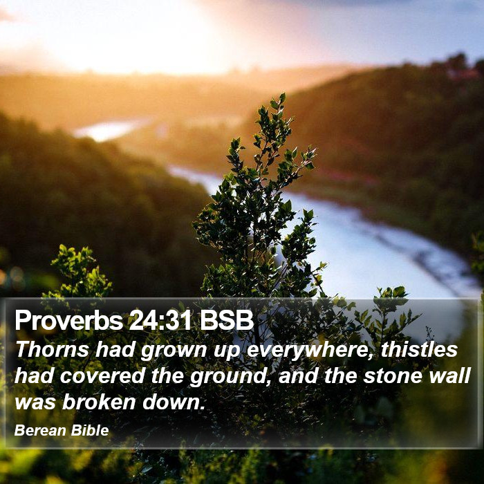 Proverbs 24:31 BSB Bible Study