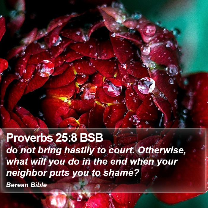 Proverbs 25:8 BSB Bible Study