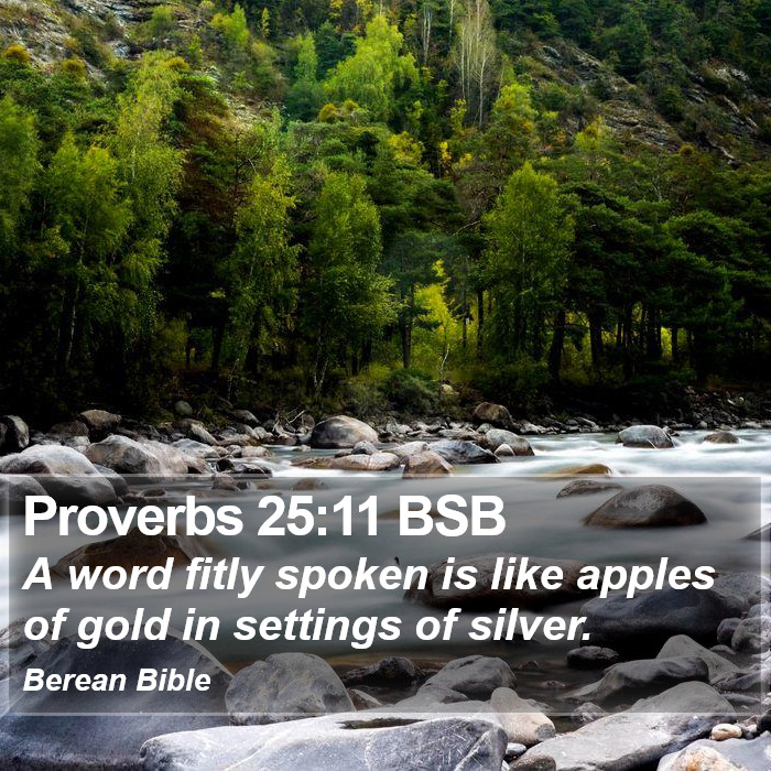 Proverbs 25:11 BSB Bible Study