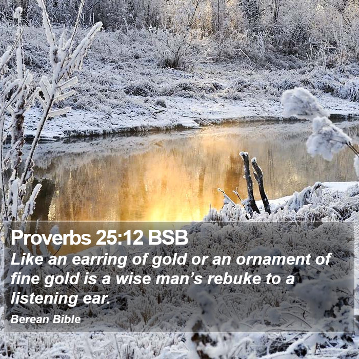 Proverbs 25:12 BSB Bible Study