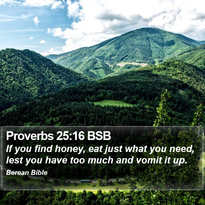 Proverbs 25:16 BSB Bible Study