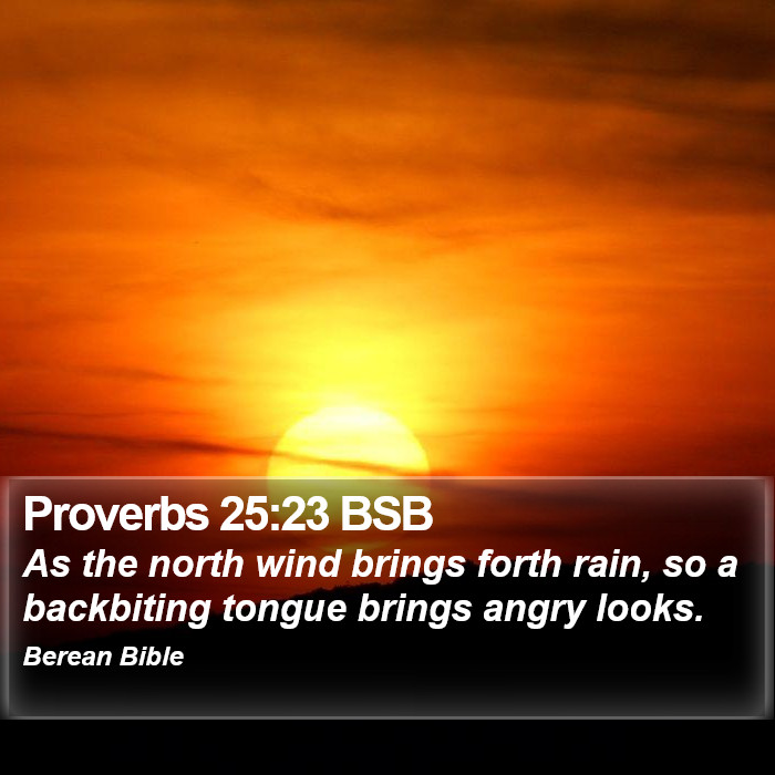 Proverbs 25:23 BSB Bible Study