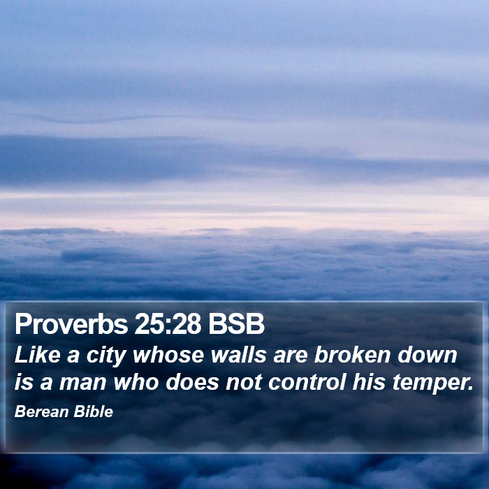 Proverbs 25:28 BSB Bible Study