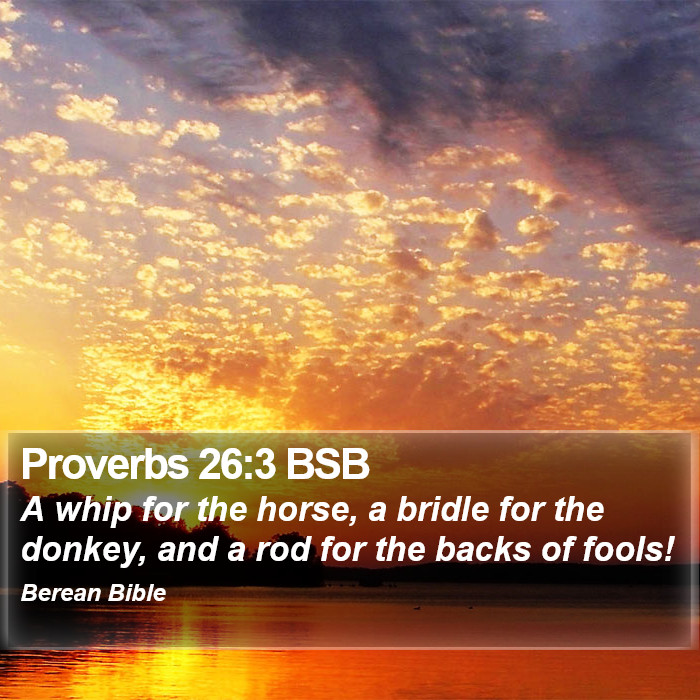 Proverbs 26:3 BSB Bible Study