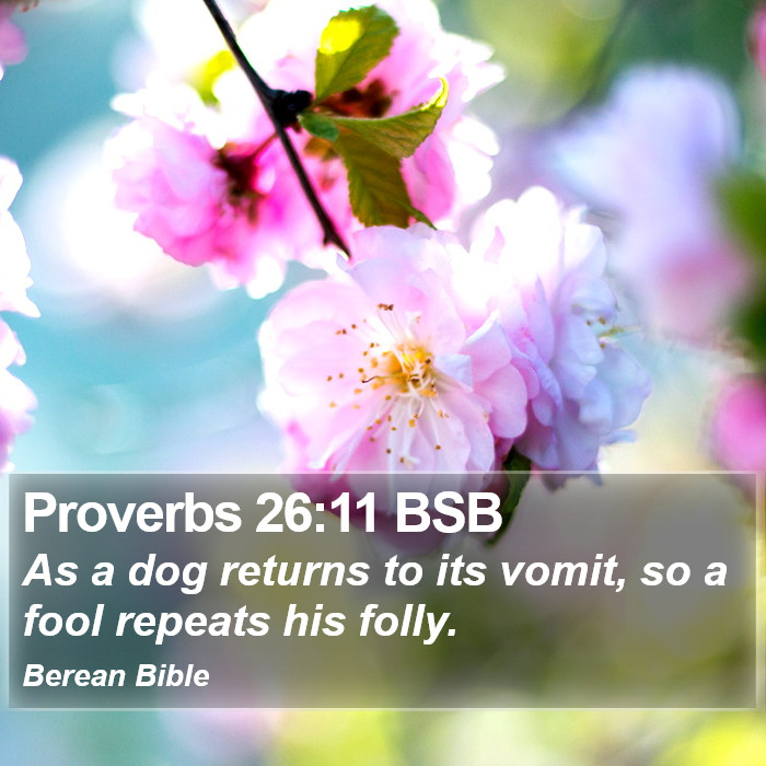 Proverbs 26:11 BSB Bible Study