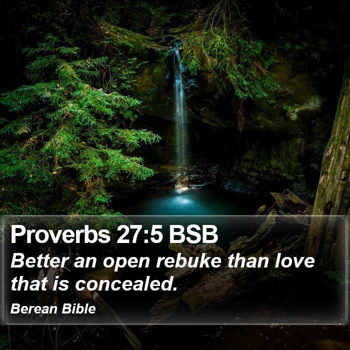 Proverbs 27:5 BSB Bible Study