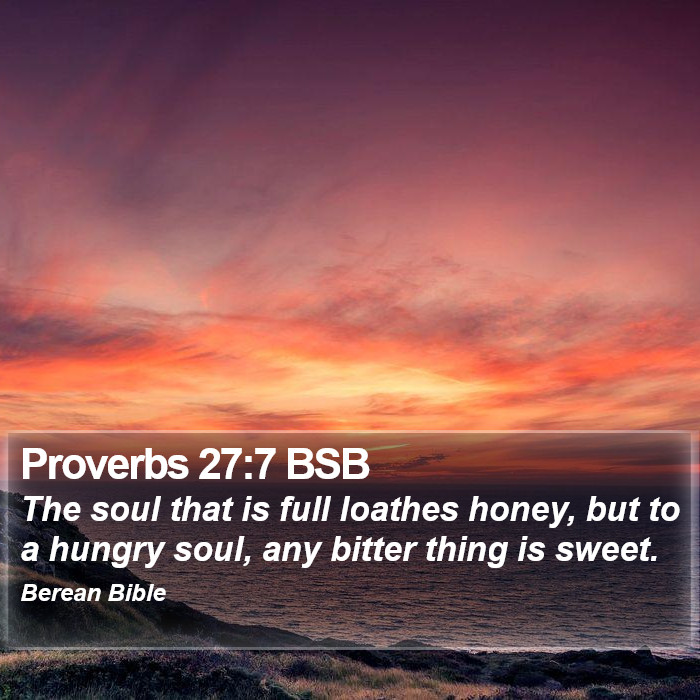 Proverbs 27:7 BSB Bible Study