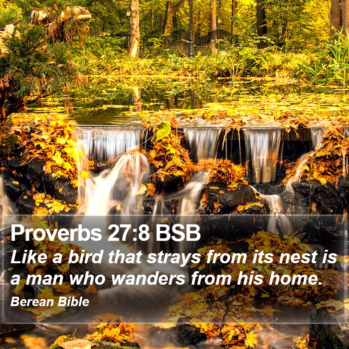 Proverbs 27:8 BSB Bible Study