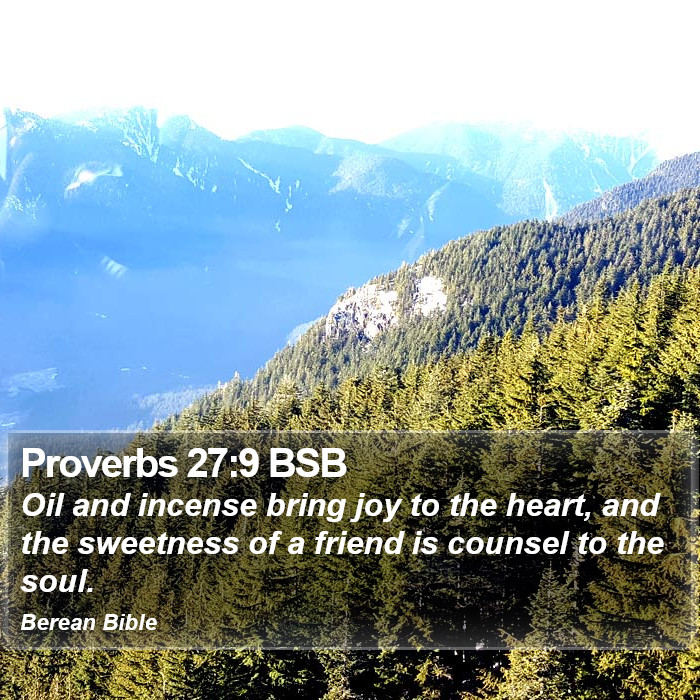 Proverbs 27:9 BSB Bible Study