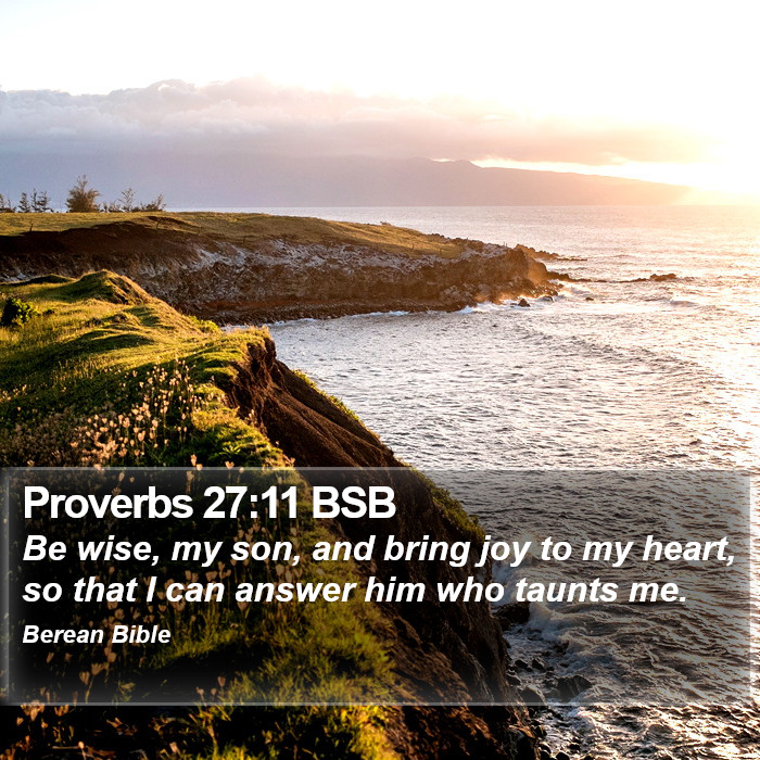 Proverbs 27:11 BSB Bible Study