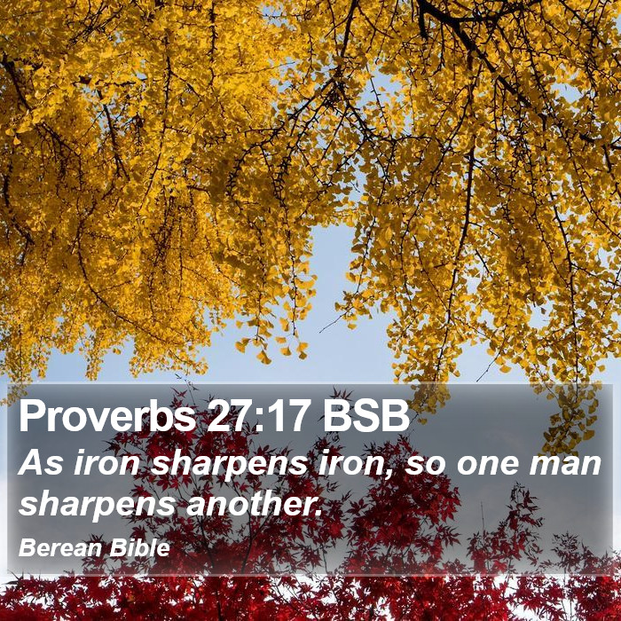 Proverbs 27:17 BSB Bible Study