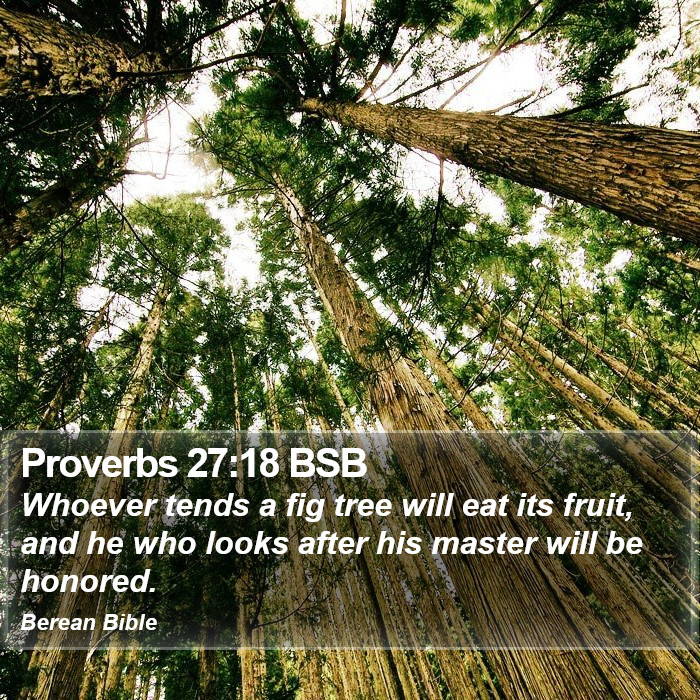 Proverbs 27:18 BSB Bible Study