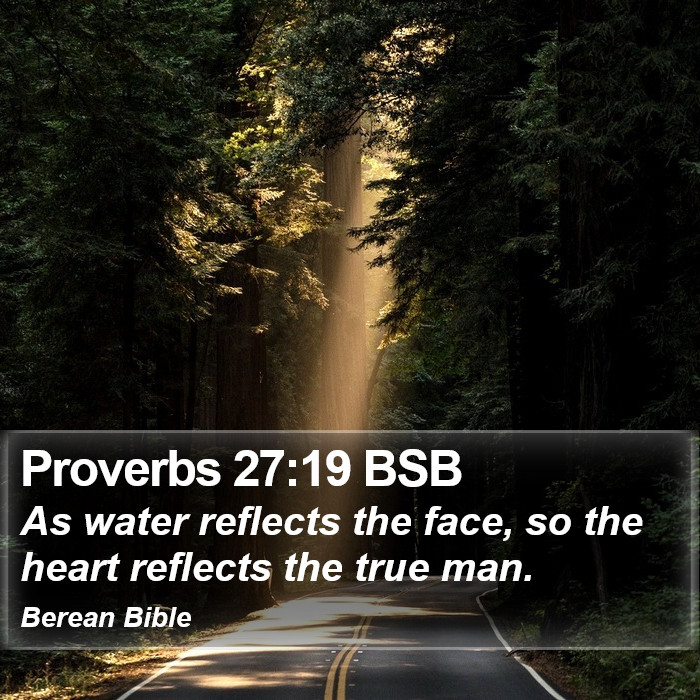 Proverbs 27:19 BSB Bible Study