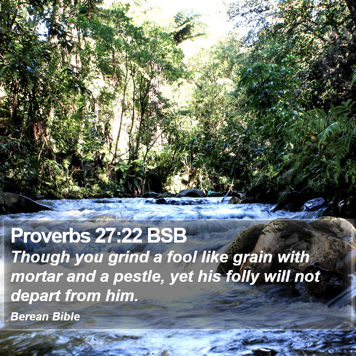 Proverbs 27:22 BSB Bible Study