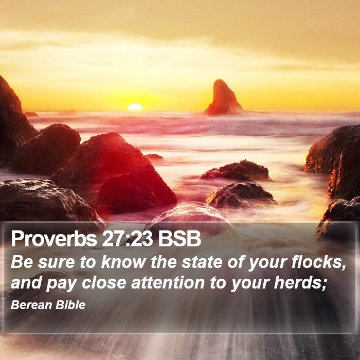 Proverbs 27:23 BSB Bible Study