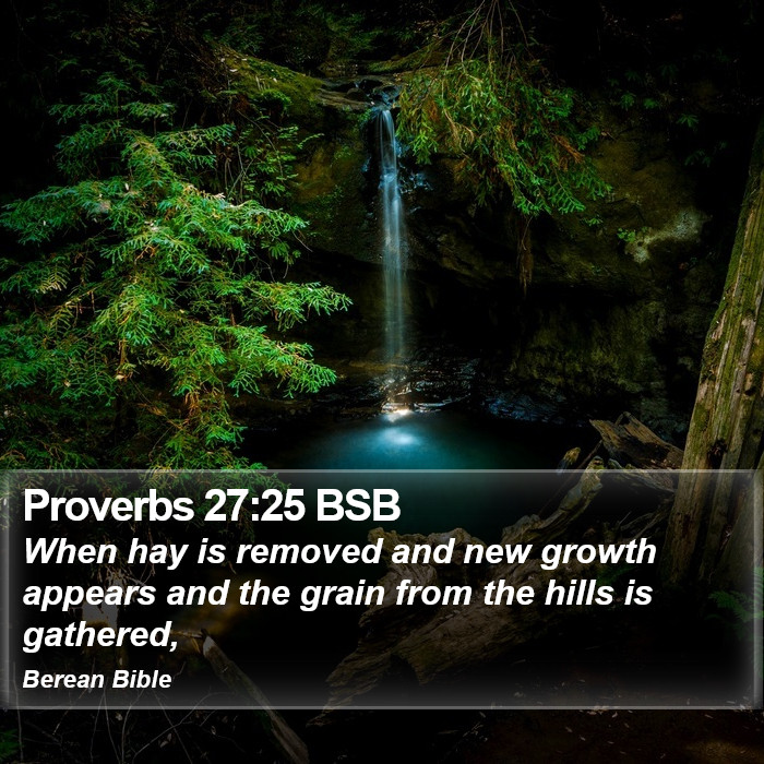 Proverbs 27:25 BSB Bible Study