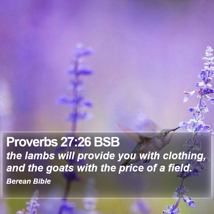 Proverbs 27:26 BSB Bible Study