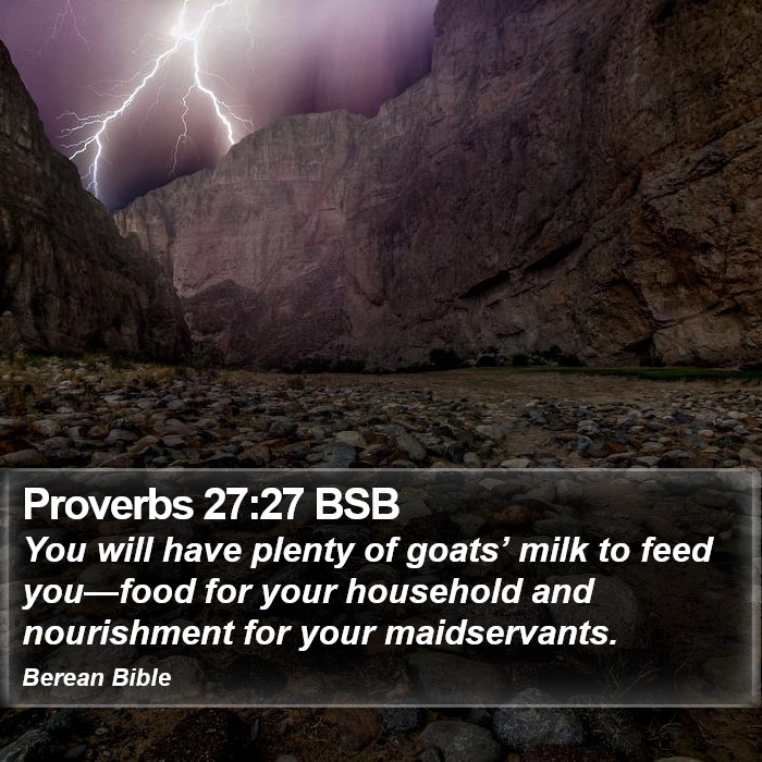 Proverbs 27:27 BSB Bible Study