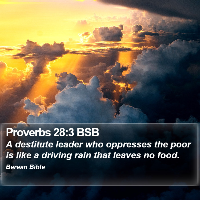 Proverbs 28:3 BSB Bible Study