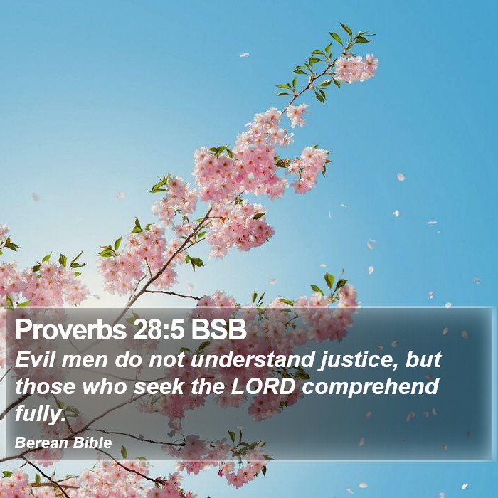 Proverbs 28:5 BSB Bible Study