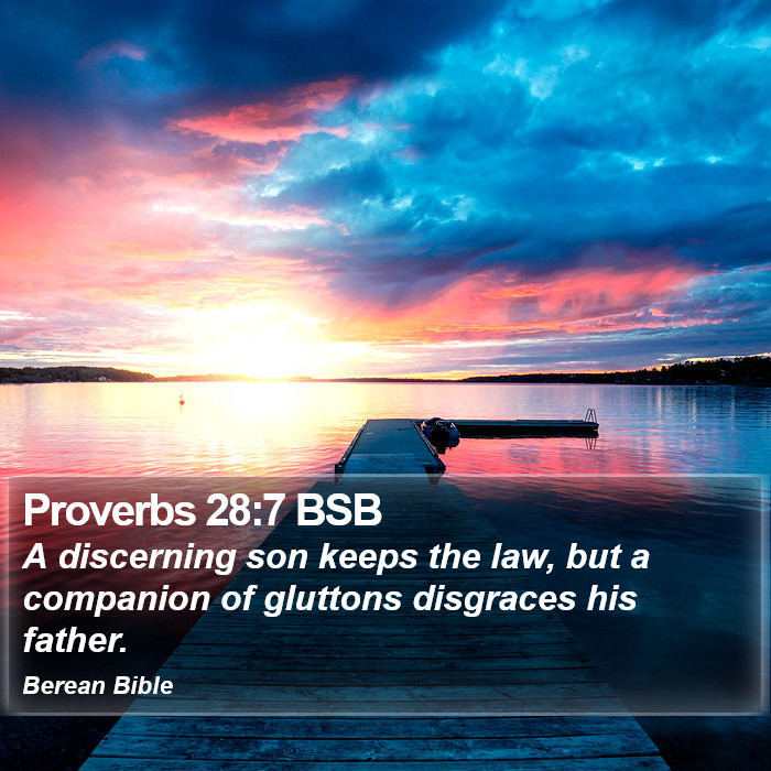 Proverbs 28:7 BSB Bible Study