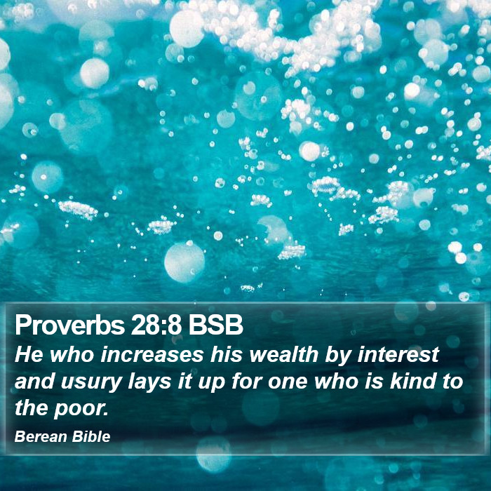 Proverbs 28:8 BSB Bible Study