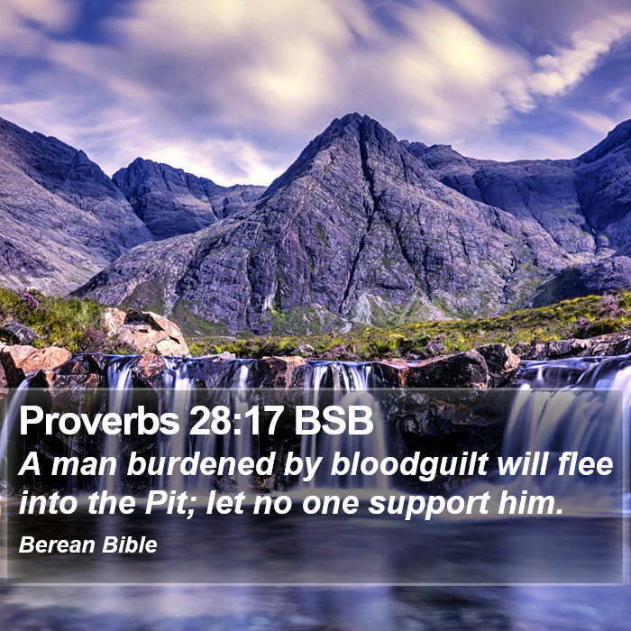 Proverbs 28:17 BSB Bible Study