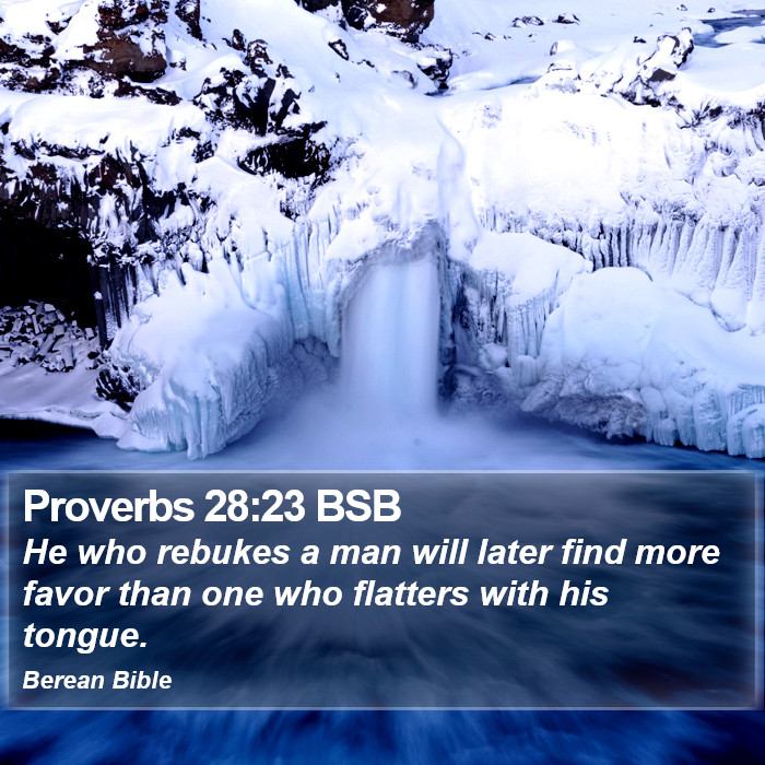 Proverbs 28:23 BSB Bible Study