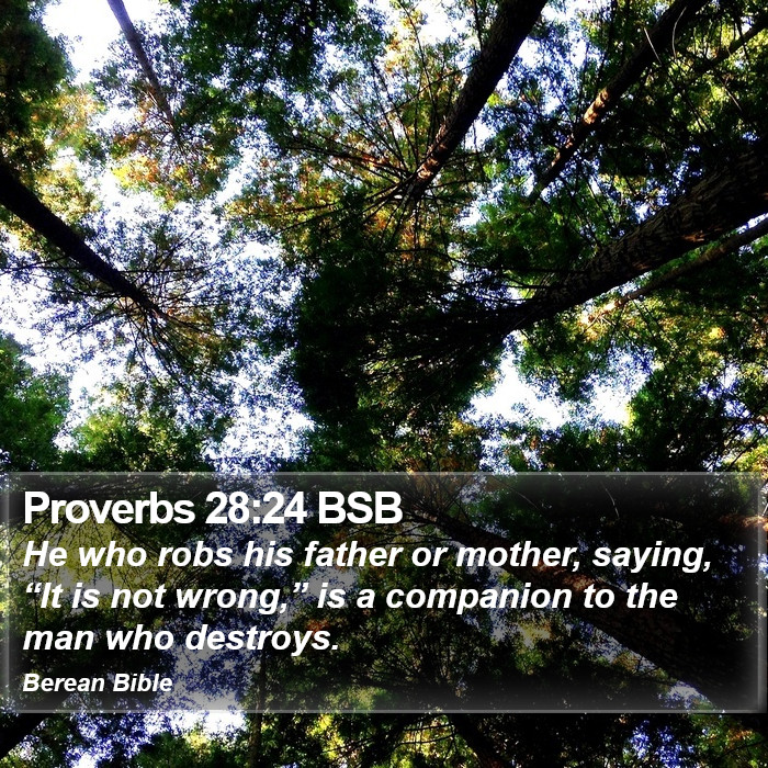 Proverbs 28:24 BSB Bible Study