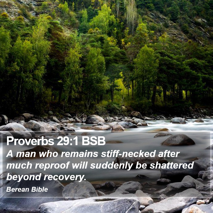 Proverbs 29:1 BSB Bible Study