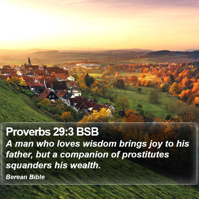 Proverbs 29:3 BSB Bible Study