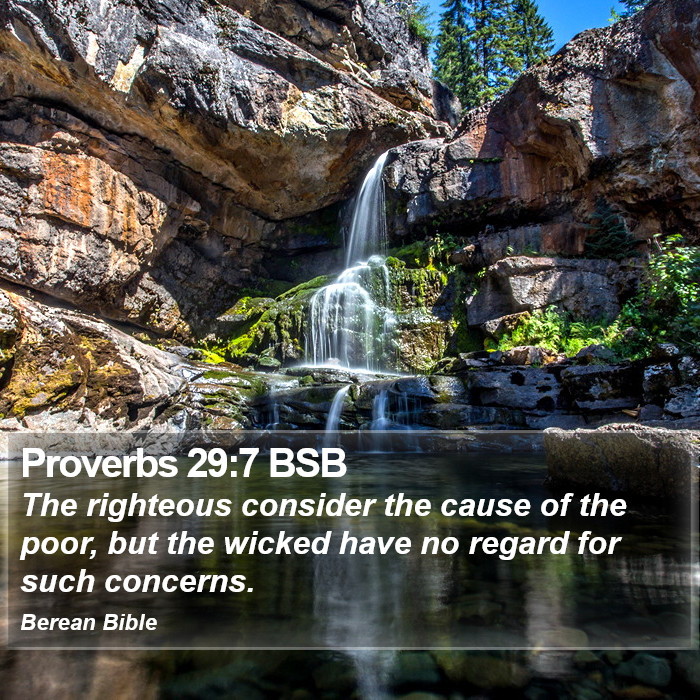 Proverbs 29:7 BSB Bible Study