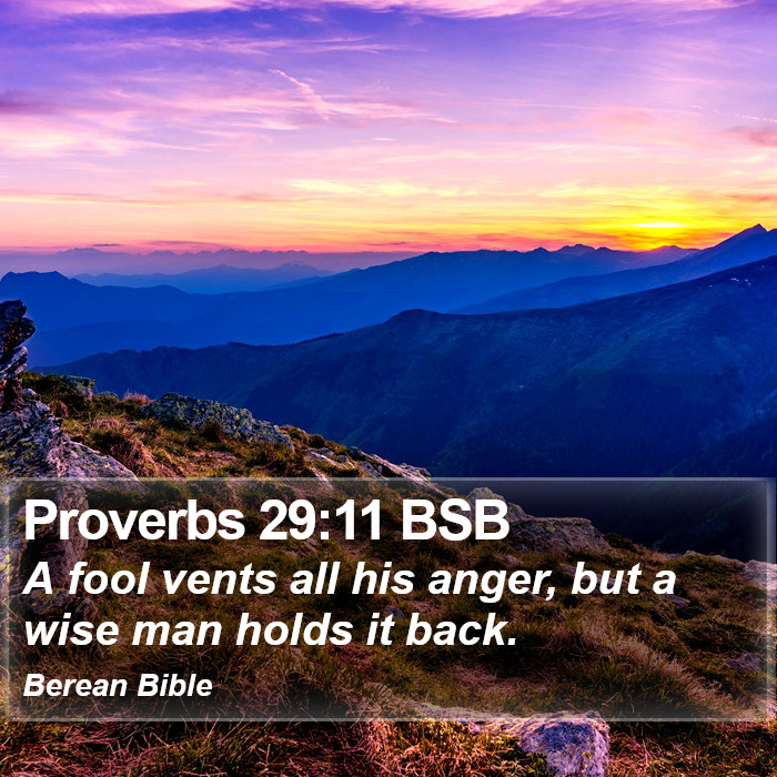 Proverbs 29:11 BSB Bible Study