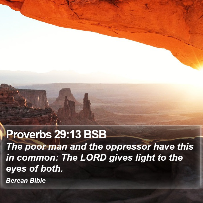 Proverbs 29:13 BSB Bible Study