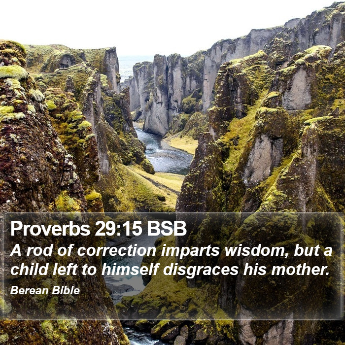 Proverbs 29:15 BSB Bible Study