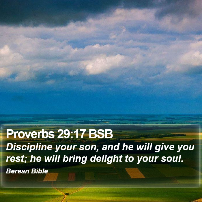 Proverbs 29:17 BSB Bible Study