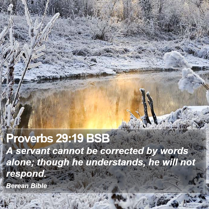 Proverbs 29:19 BSB Bible Study