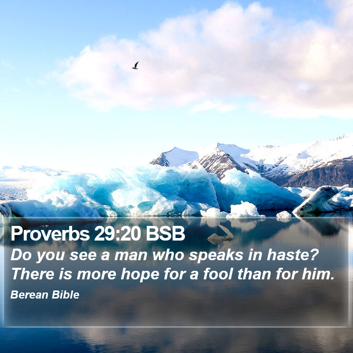 Proverbs 29:20 BSB Bible Study