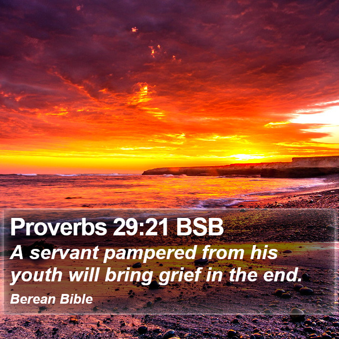 Proverbs 29:21 BSB Bible Study