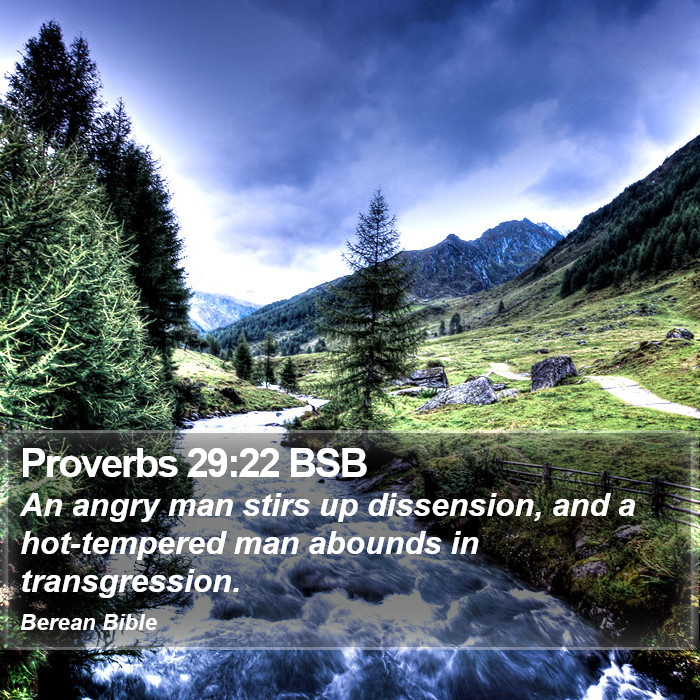 Proverbs 29:22 BSB Bible Study