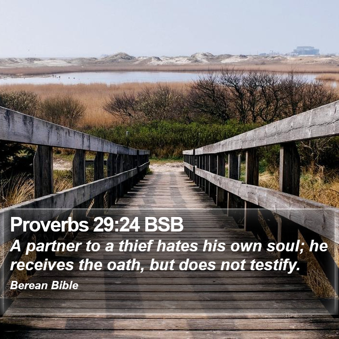 Proverbs 29:24 BSB Bible Study