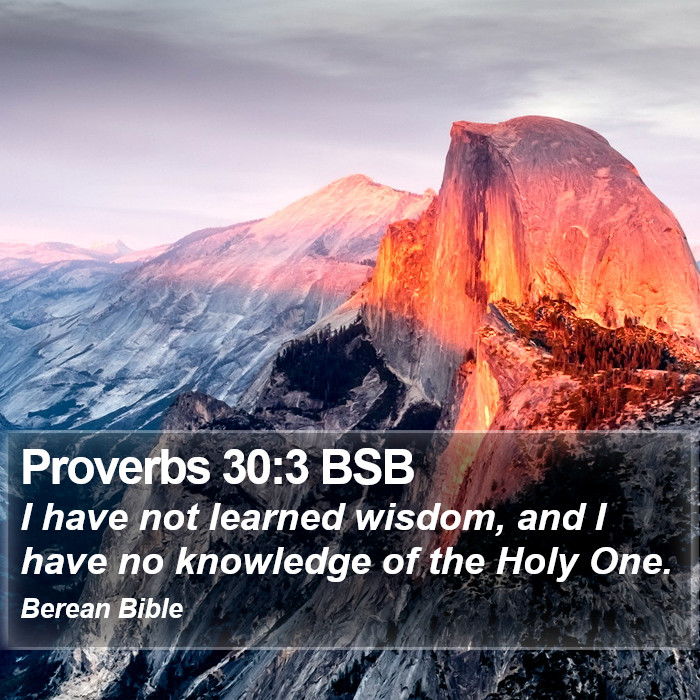 Proverbs 30:3 BSB Bible Study