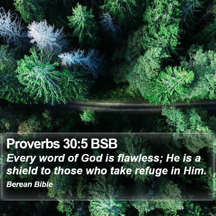 Proverbs 30:5 BSB Bible Study