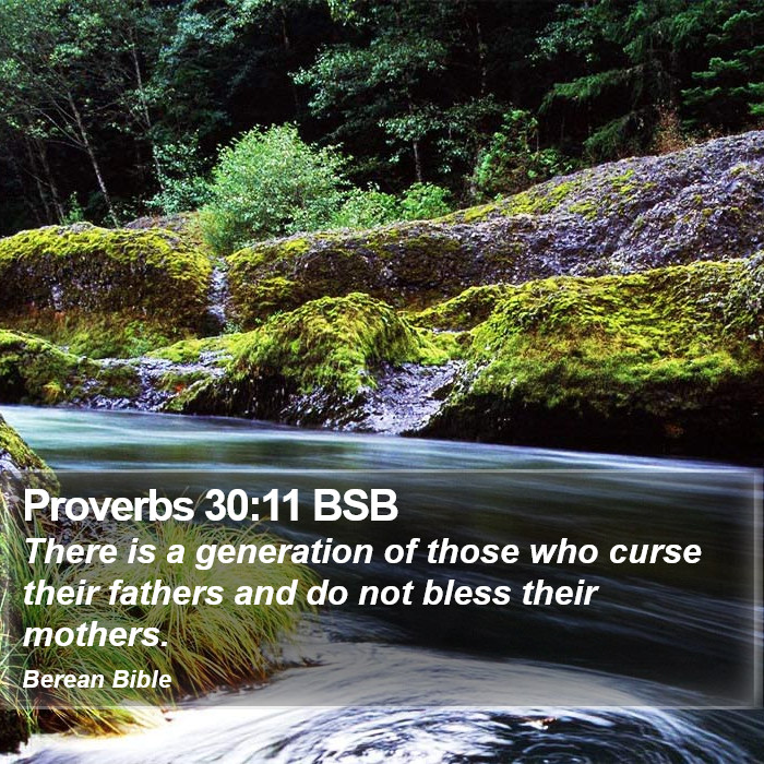 Proverbs 30:11 BSB Bible Study